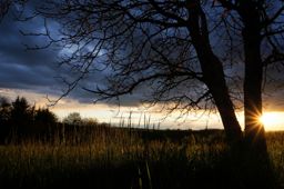 Sortie à vélo le soir