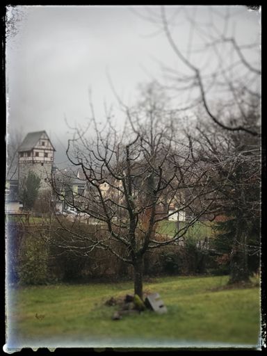 Blick zum Zeughausturm