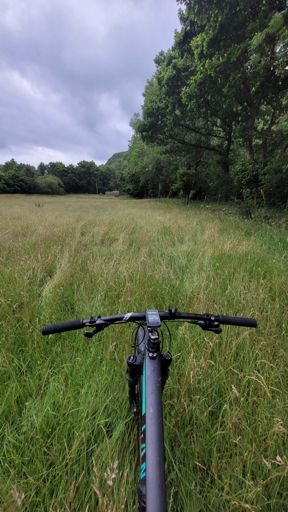 Standard bridleway