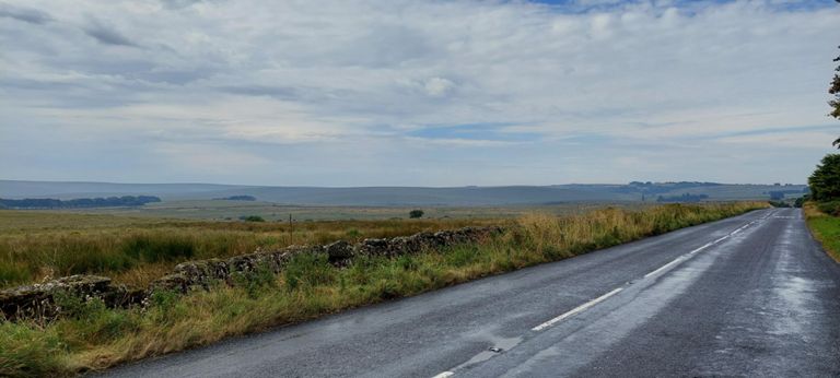 Views from The Cherrybrook