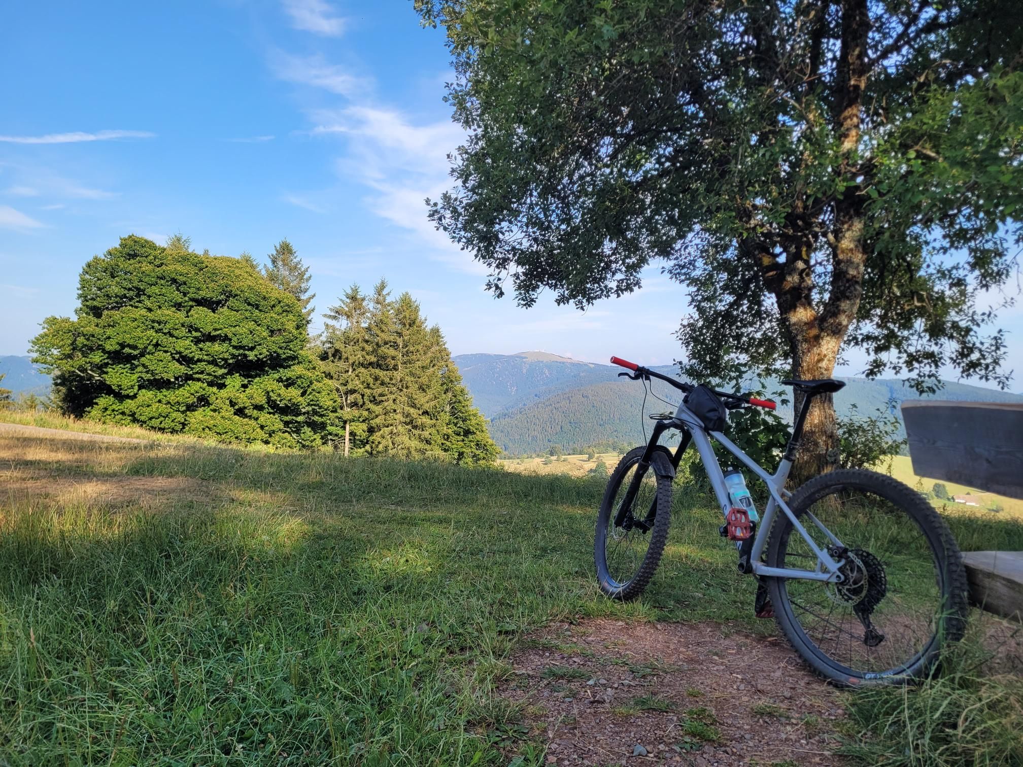 Activity photo