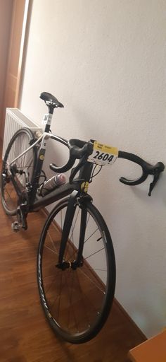 Rysovi to celkem sluší