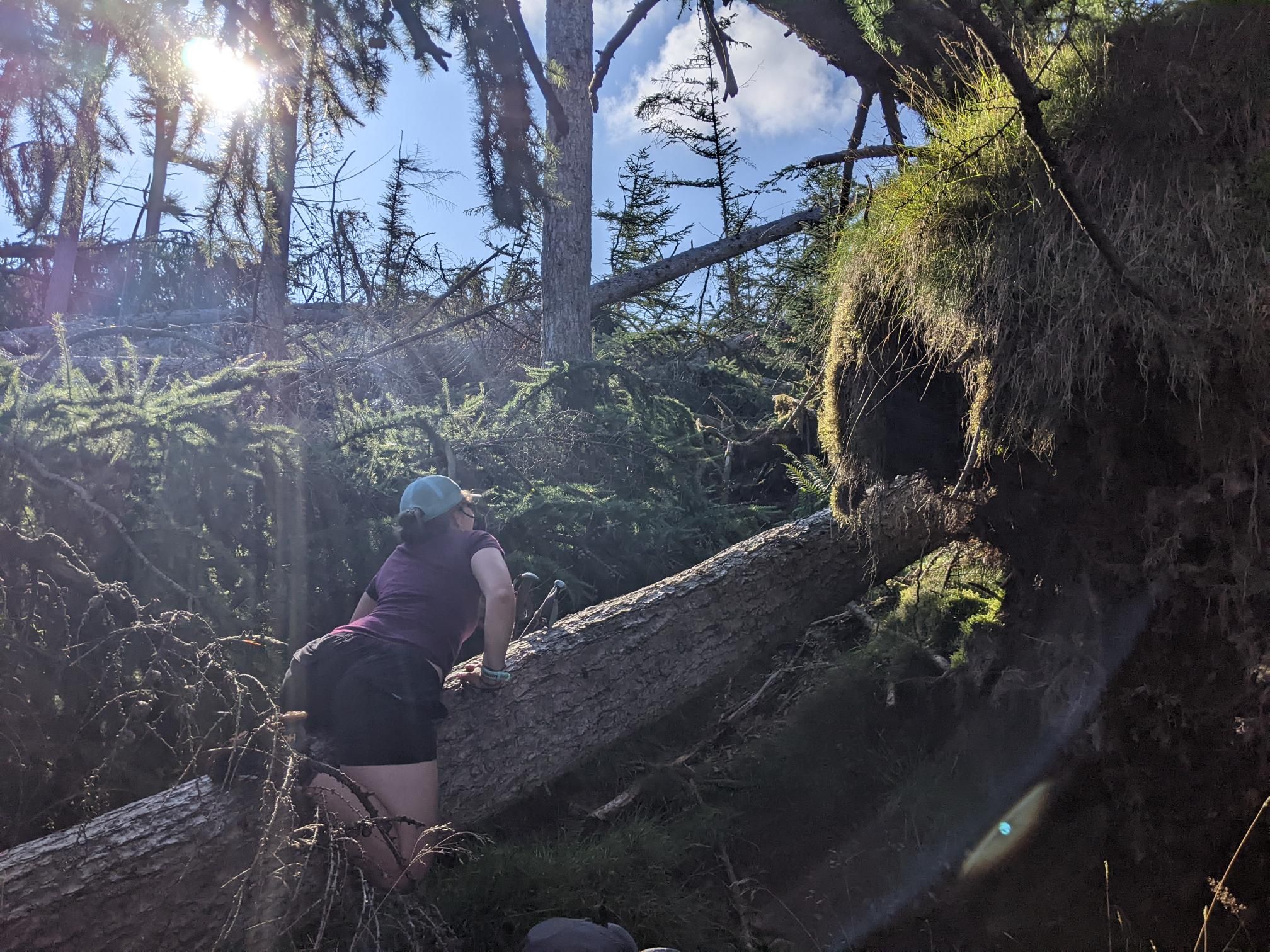 Lake District Wild Camping photo 2