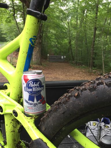 Warm, humid and cold PBRs