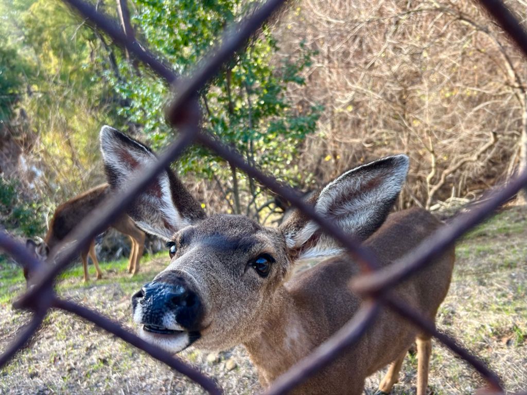 NBB run - Lake Hollywood photo 194