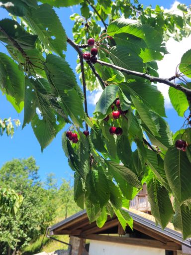 Verpflegung auf der Strecke👌