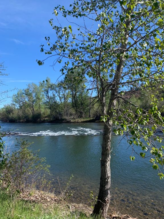 BOISE MARATHON 2023 26.9 mi Running Route on Strava