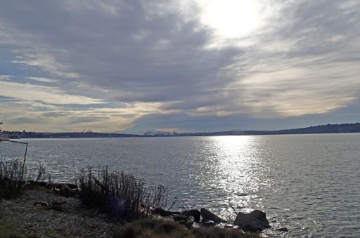 The Mountain across Elliott Bay