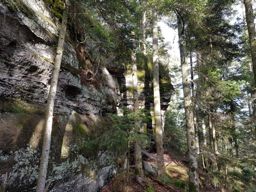 Crapahutage recherche infructueuse des têtes de lajus