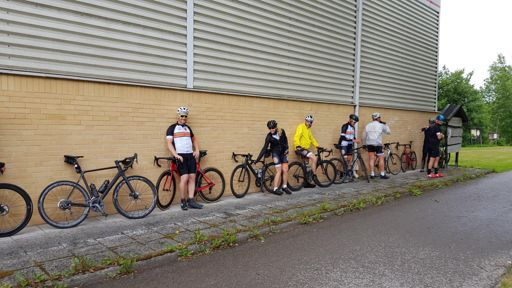 Panelhönor i regnet i Svängsta