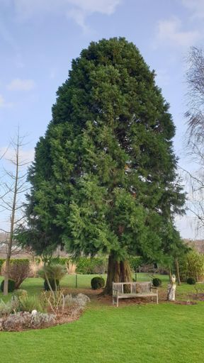 Koenigstein im Taunus_ID23771_BM_Am Wäldchen 23