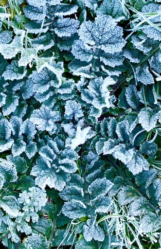 A very fresh start to an otherwise stunning day! ❄️❄️