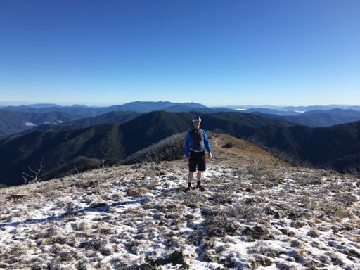 Buffalo in the background.