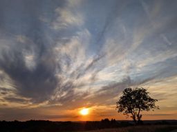 Sortie VTT en soirée