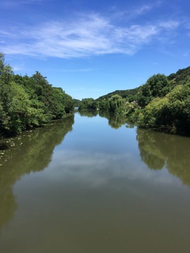 L’Indre à Rigny-Ussé