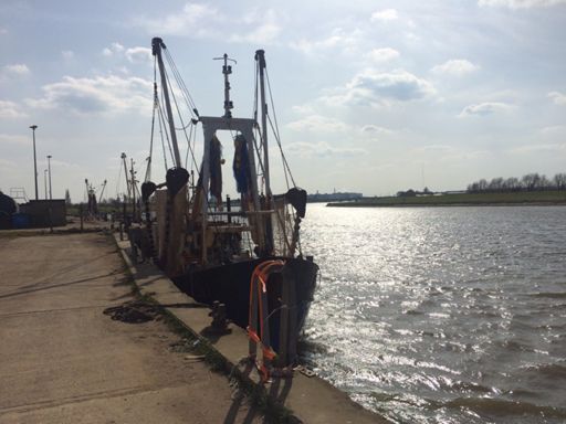 Norfolk cruise liners.