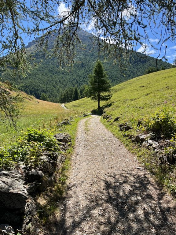 route-highlight