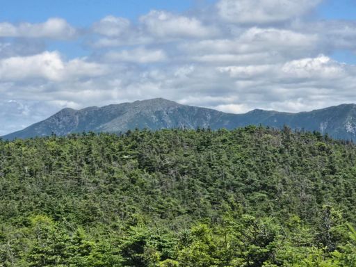 Mt Lafayette from top of S. Kinsman