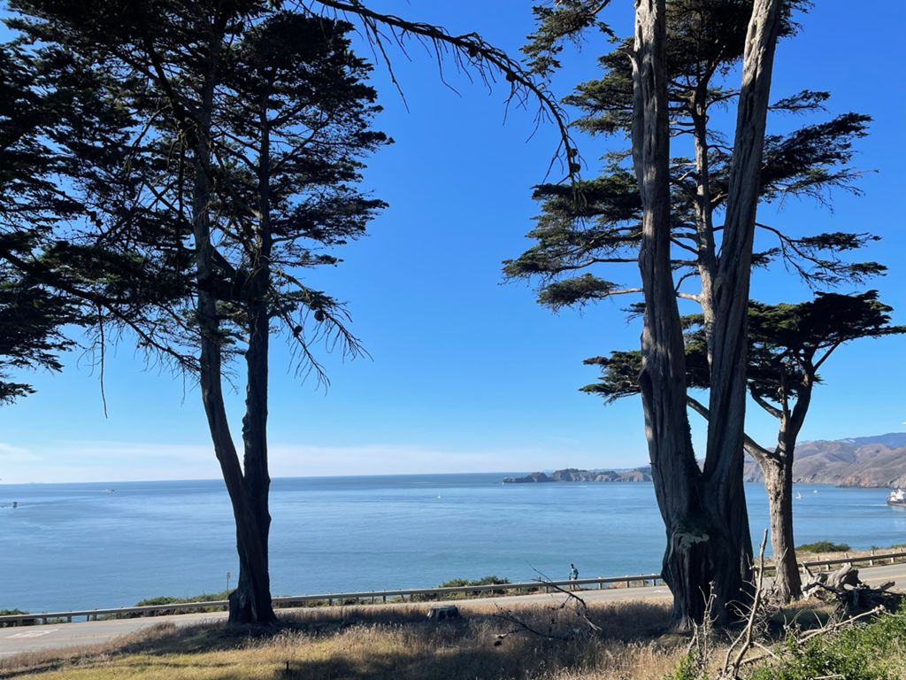 Butterlap (Presidio & Golden Gate Park) photo 45