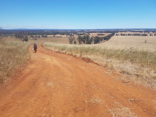 Loved these red roads
