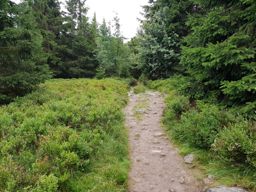 Courte rando col de la schlucht