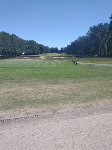 A Tee and Fairway at Sunningdale Golf Course. Bridleway crosses 3 fairways but only saw 2 guys playing who completely blanked me when I said good afternoon to them after waiting for them to play their shots. They must find the General Public very inconvenient.