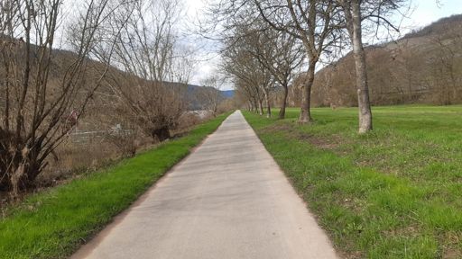 Frisch gekehrt der Radweg an der Mosel.