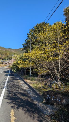みたけだけど4本🙄笑