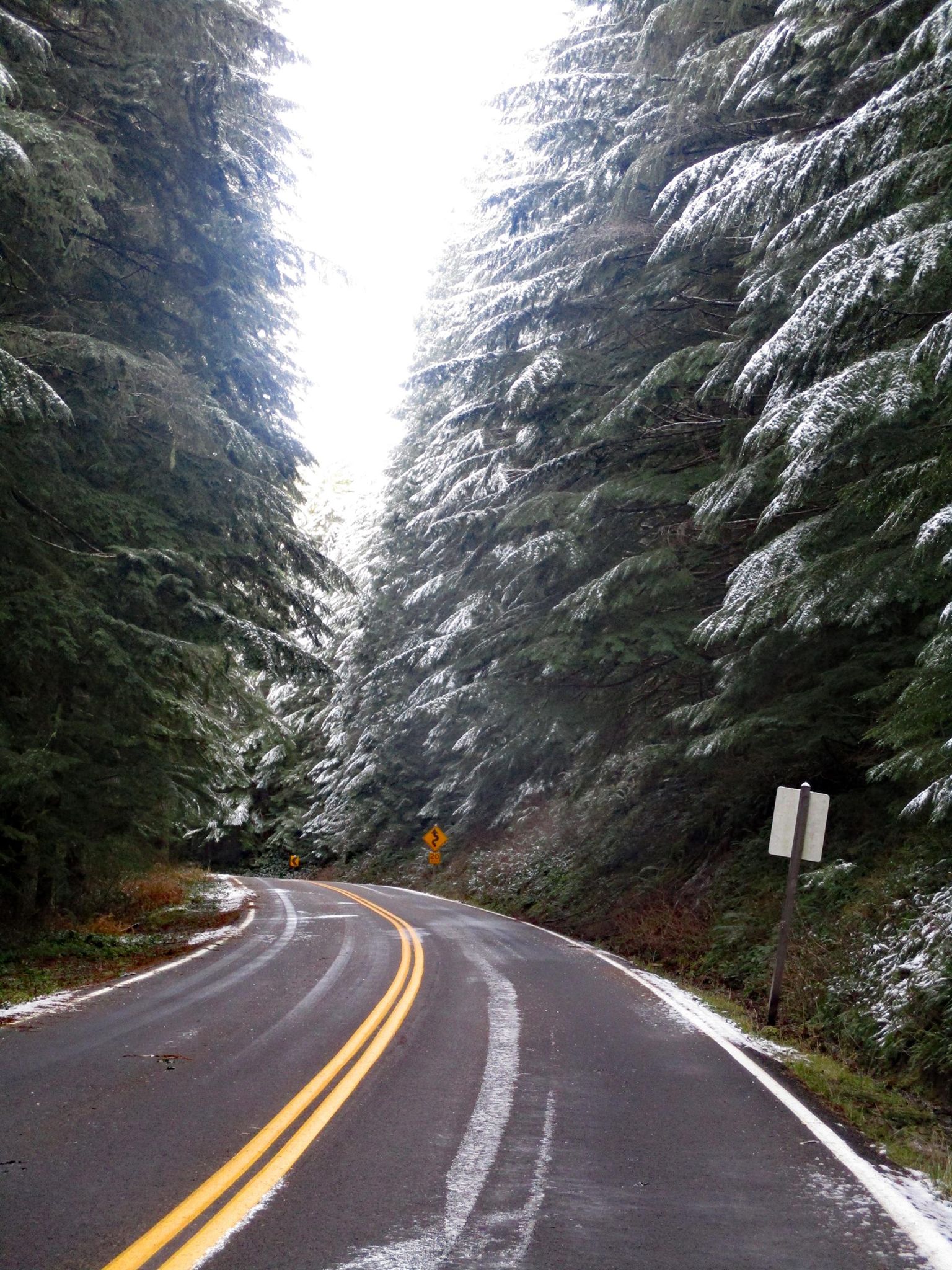 About a mile before the snow gate