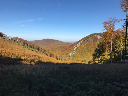 Plavecky Hrad v pozadi