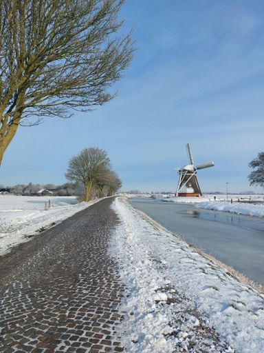 Deze kop foto is gemaakt tussen Zuidwolde en Ellerhuizen .