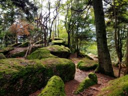 La Hoube Wuestenberg