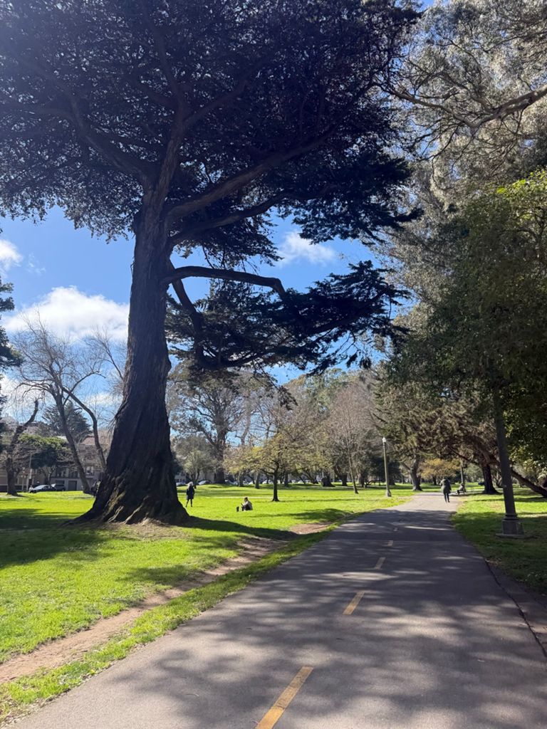 Butterlap (Presidio & Golden Gate Park) photo 105