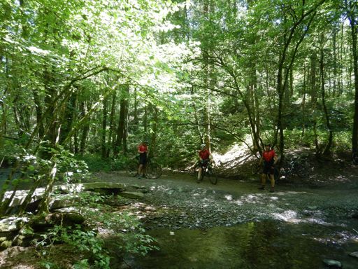 Ruisseau d'Orchimont, Vresse-sur-Semois.