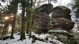 MTB VTT Rambiroche Ganaux