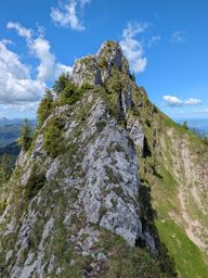 Chöpfenberg Tierberg