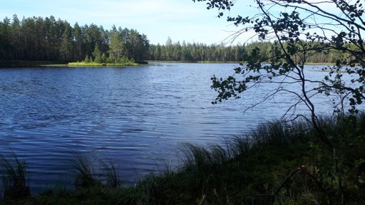 Koukkujärvi