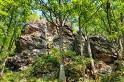 Kaysersberg Bilstein