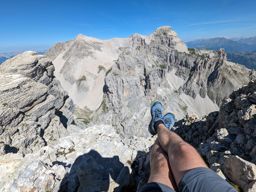 Tête de Lapras et la Cavale par le Nid