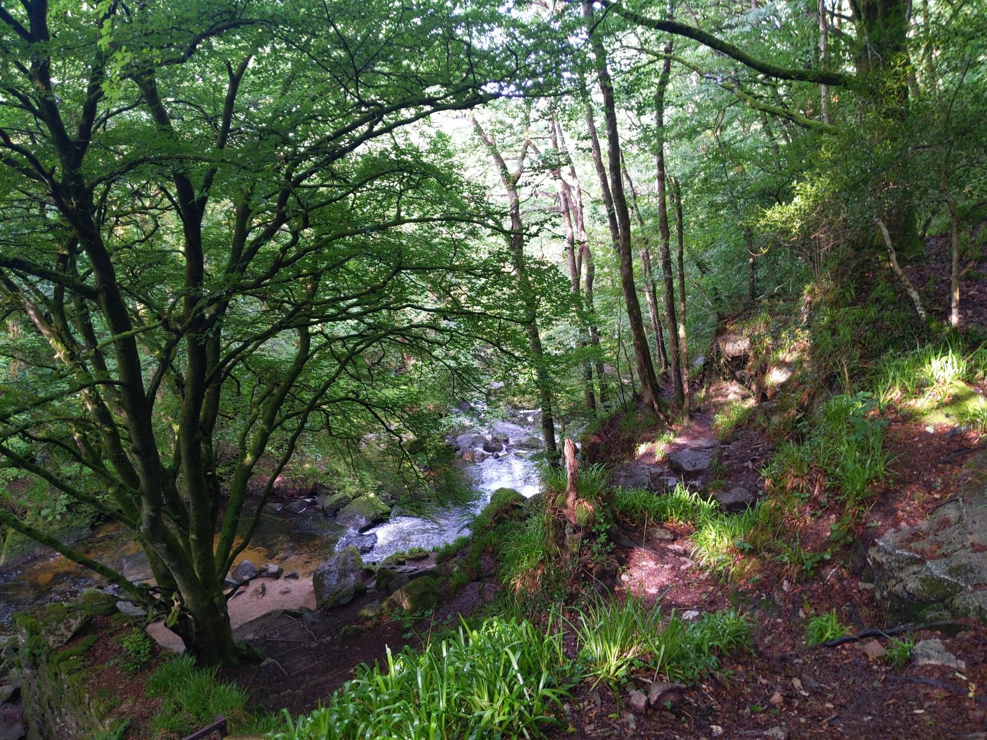 Skipton to Lands End - Day 6 photo 4