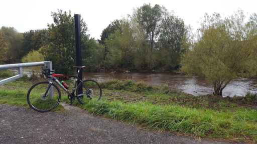 Calder fit to burst..