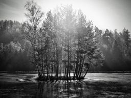 Rocve des fées de la Gagère