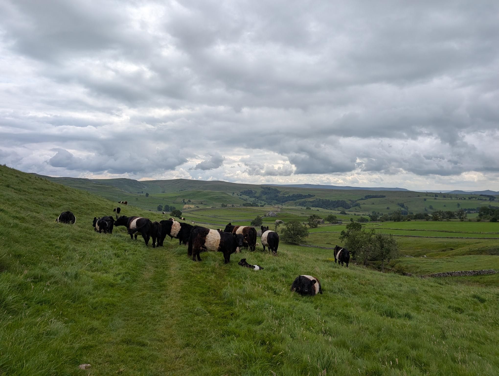 Settle to Skipton photo 3