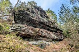 Balade dans l’après-midi