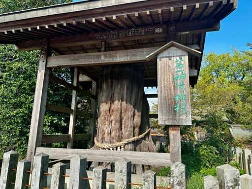 We swung by Aso Shrine on the way out of the city