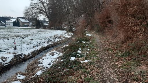 Trail in Tiefenbach
