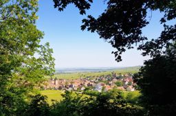 Kaysersberg Bilstein