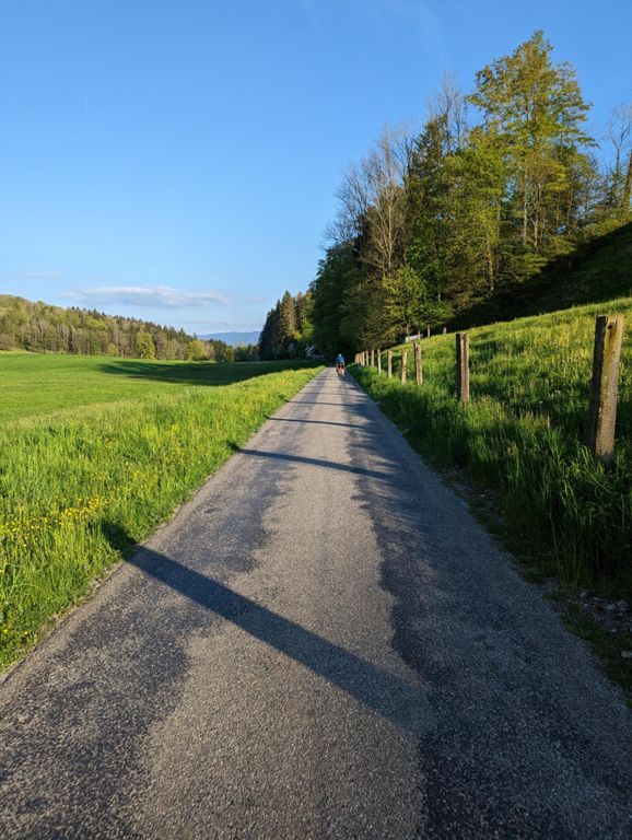 route-highlight
