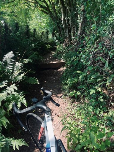 Either down onto the A48 or onto the walking paths 