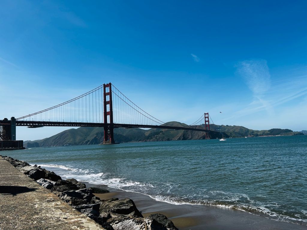 Butterlap (Presidio & Golden Gate Park) photo 151